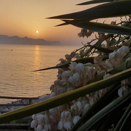 Loft In Balestrate Vicino Al Mare - Rental Beb Exterior foto