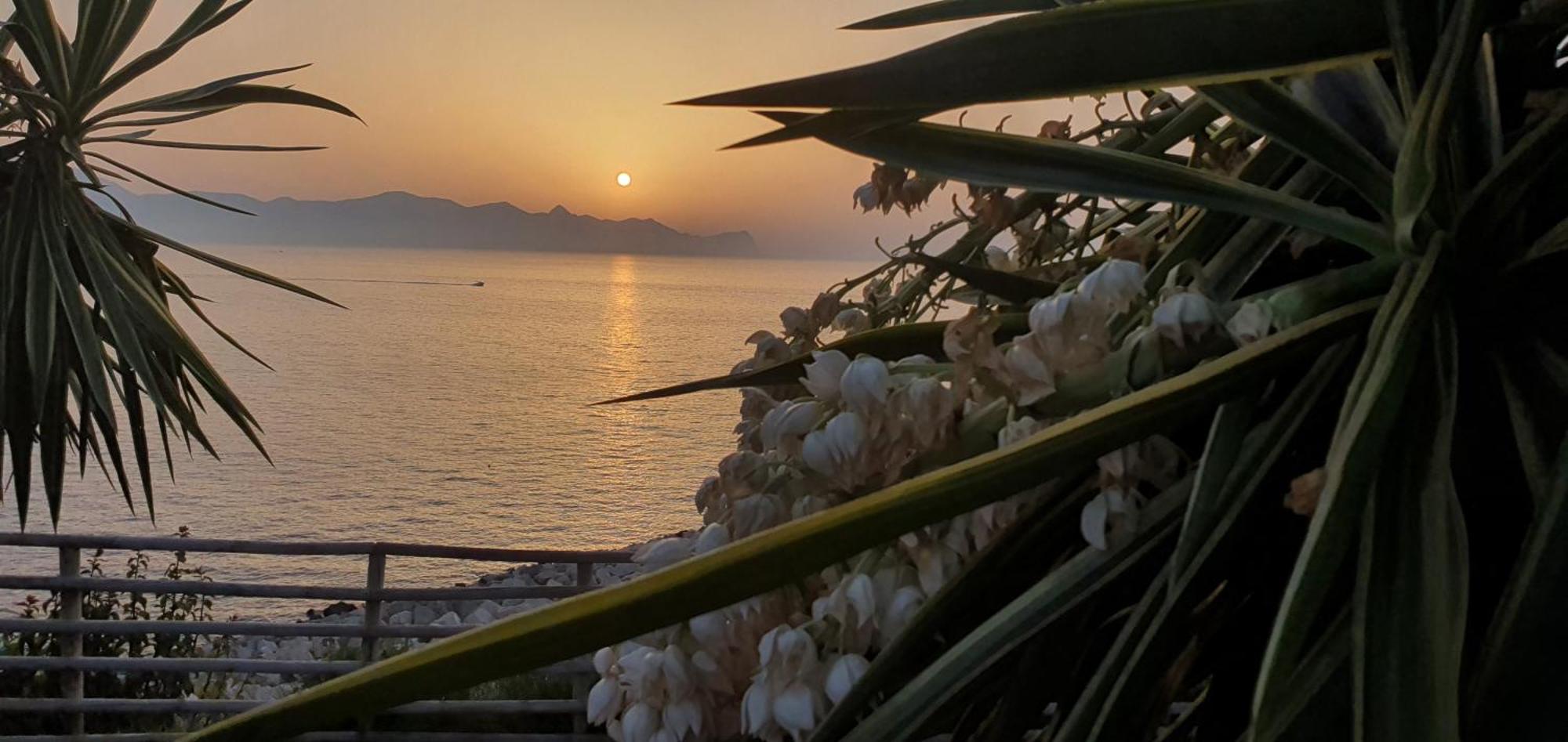 Loft In Balestrate Vicino Al Mare - Rental Beb Exterior foto