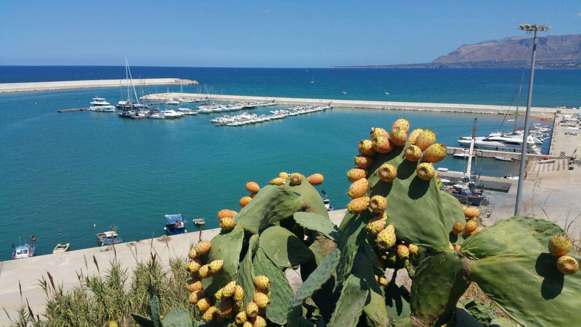 Loft In Balestrate Vicino Al Mare - Rental Beb Exterior foto